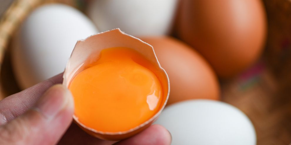 5 Thực Phẩm "Vàng" Giúp Cơ Thể Hấp Thụ Canxi Hiệu Quả Nhờ Vitamin D